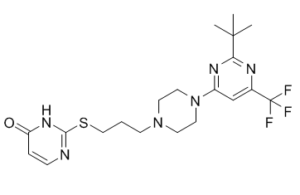 A-437203 220519-06-2